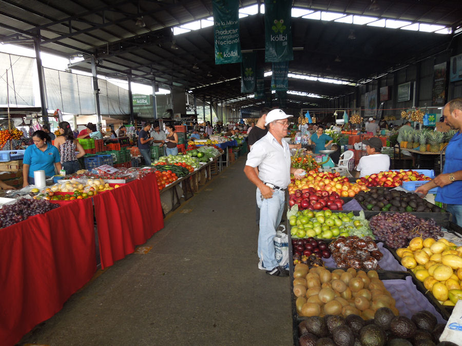 Exploring Fresh Delights at Uvita Farmer Market